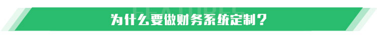 财务系统定制_02.jpg 财务系统定制_02.jpg