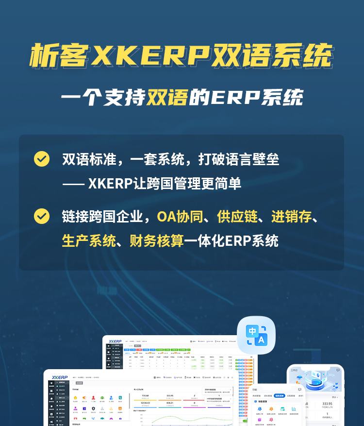 双语ERP系统-详情_01.jpg