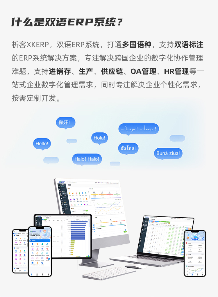 双语ERP系统-详情_04.jpg