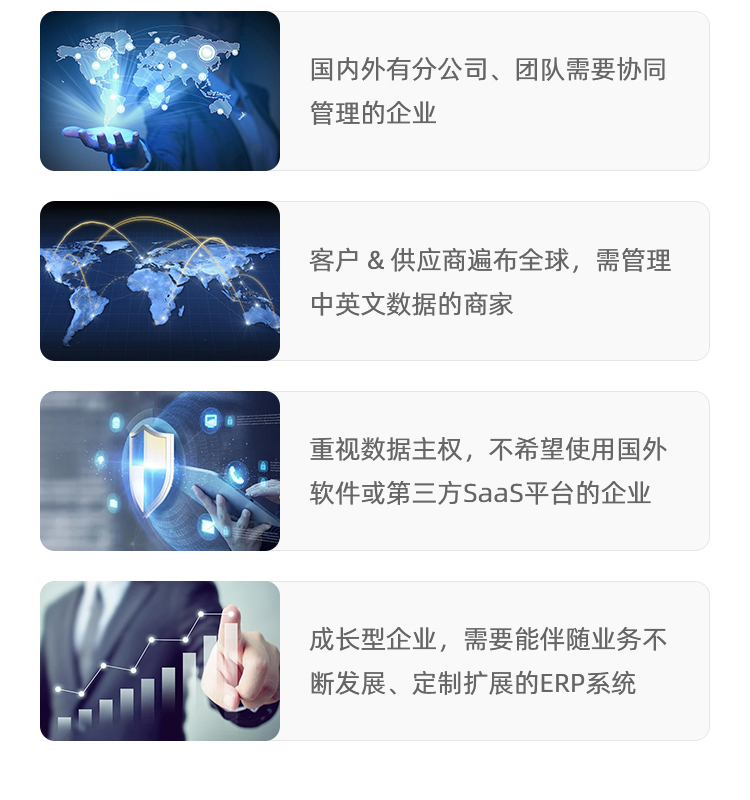 双语ERP系统-详情_07.jpg